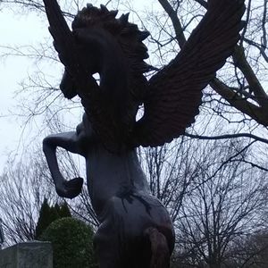 Meet your Posher, Fang